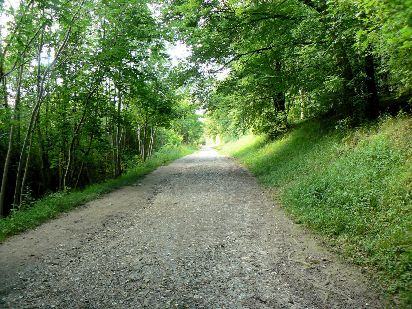 Wendover Woods Wendover Woods